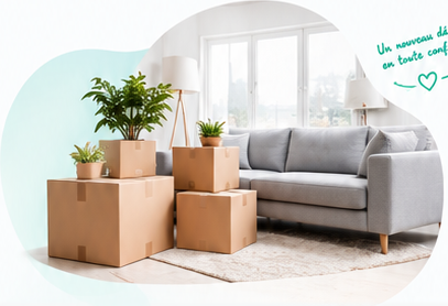 Cartons de déménagement et plantes devant un canapé gris dans un salon lumineux.